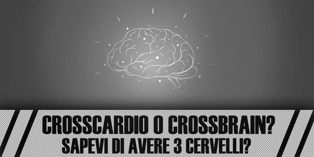 i 3 cervelli sito